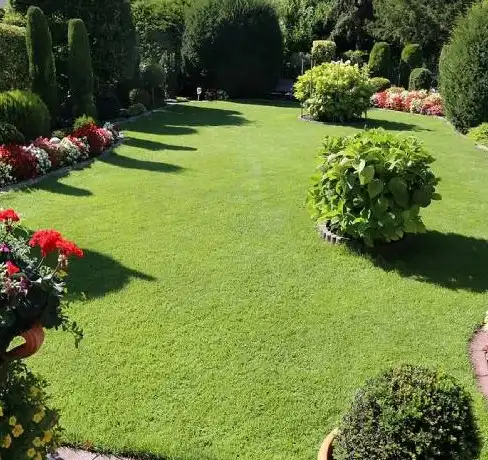 Landscaping Company In Gilroy