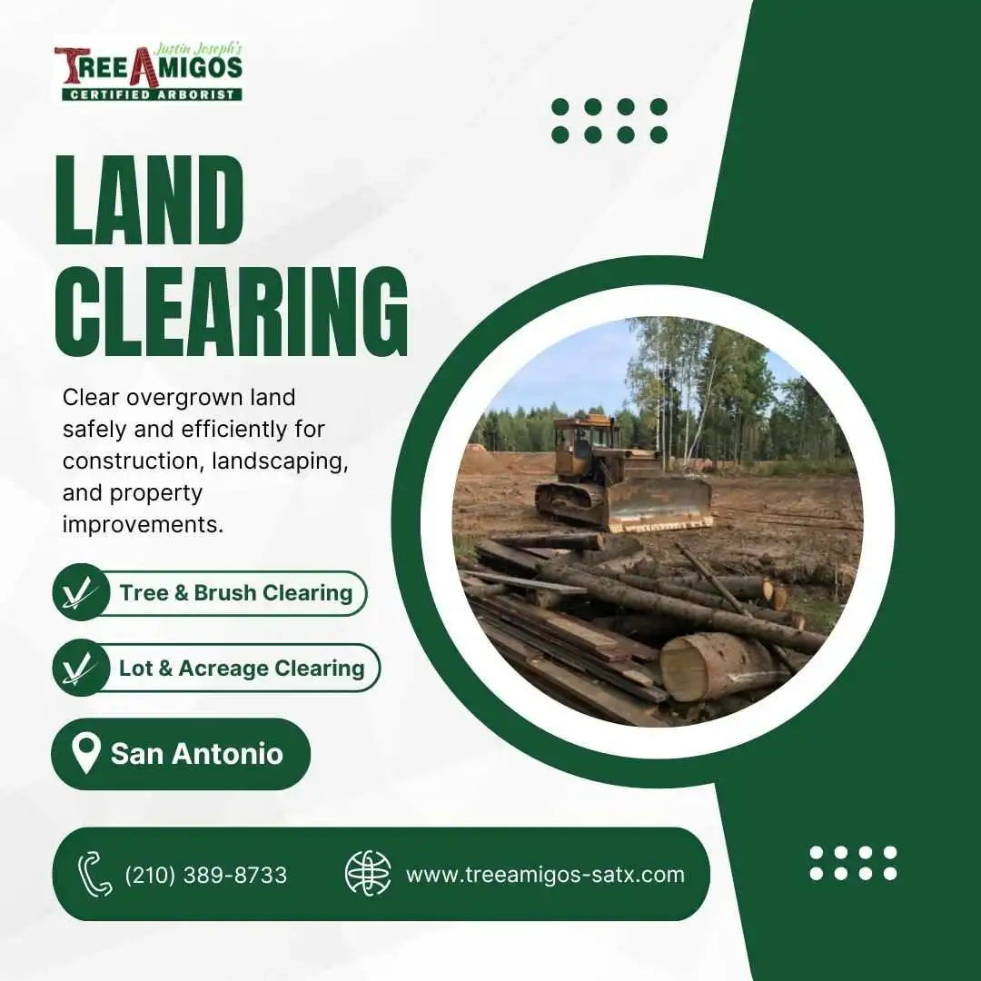 Land Clearing in San Antonio