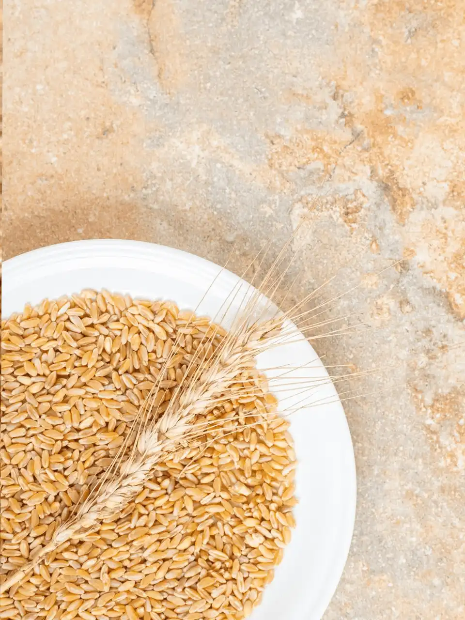  High-Quality Whole Wheat Flour Australia