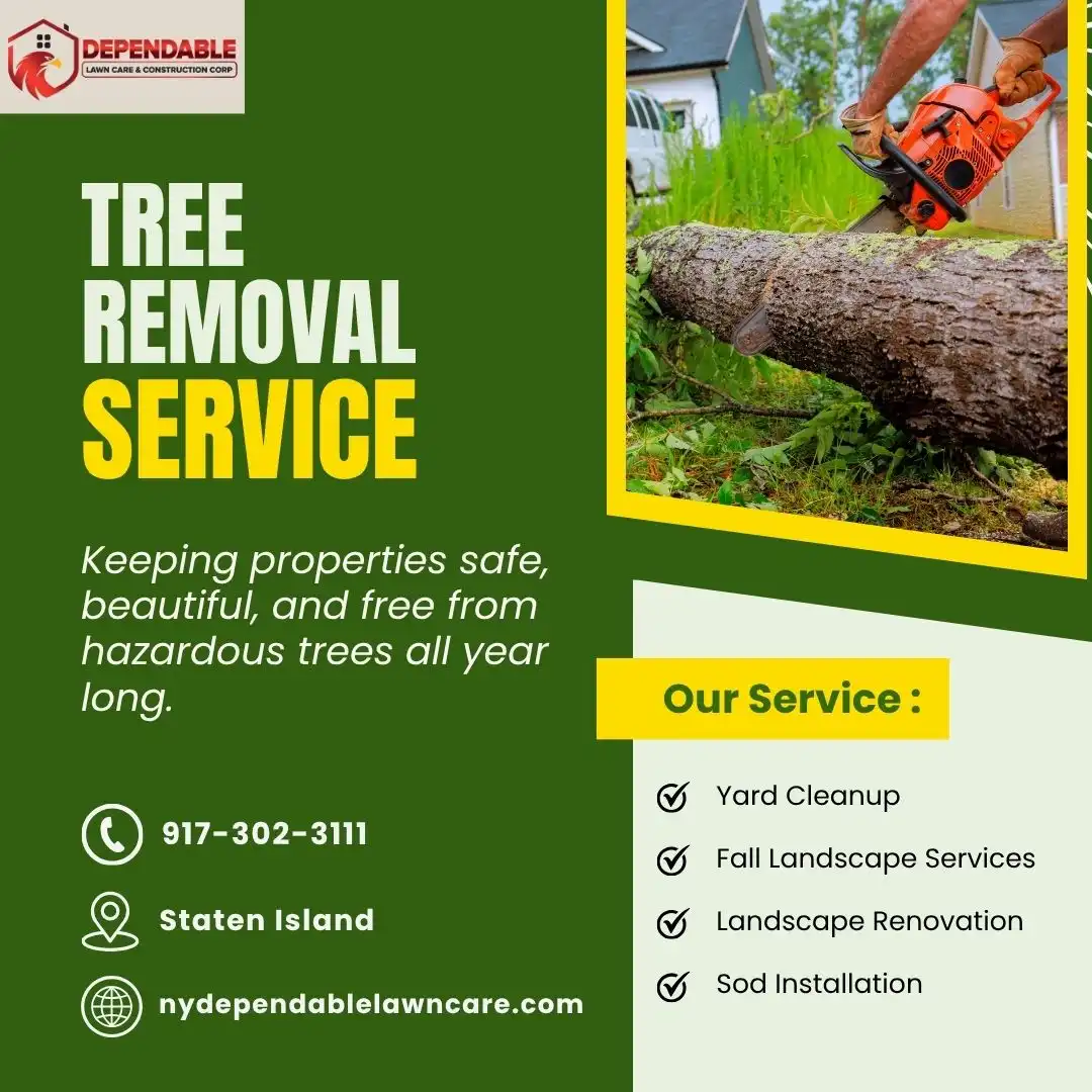 Tree Removal Service in Staten Island