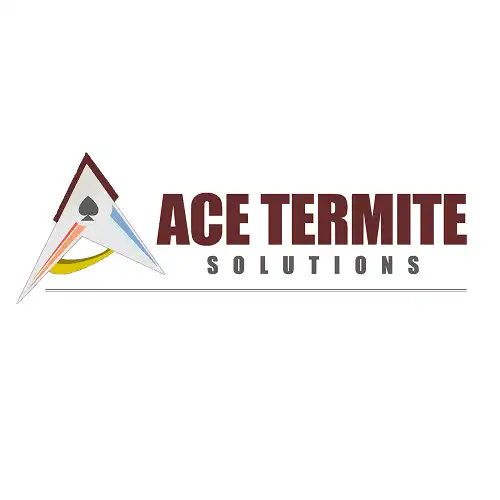 Termite Control in Melbourne | Ace Termite Solutions Reliable Protection