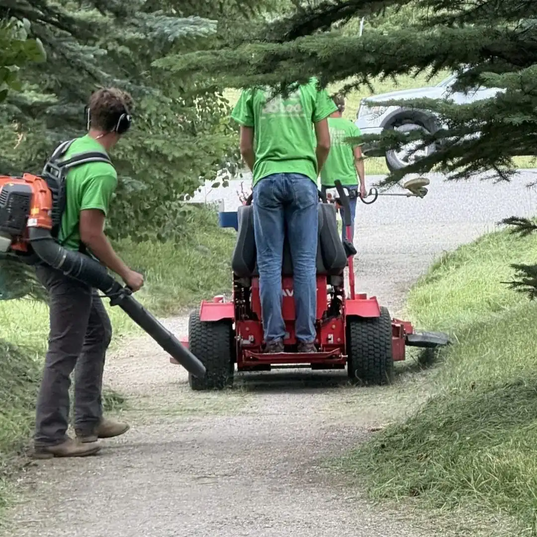 Weekly Lawn Mowing Service in Belgrade