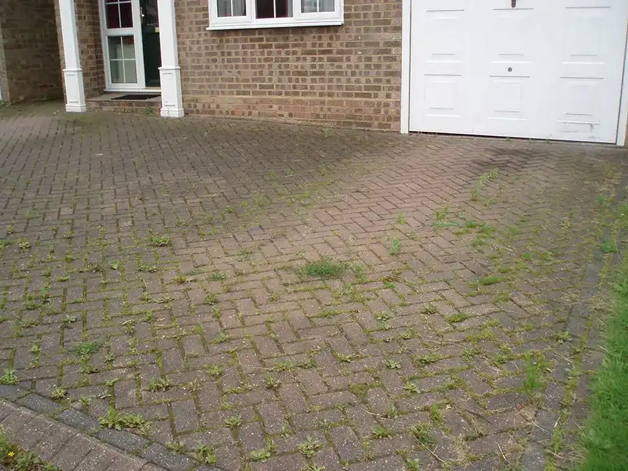 Local Driveway Sealing Services by Trusted Professionals