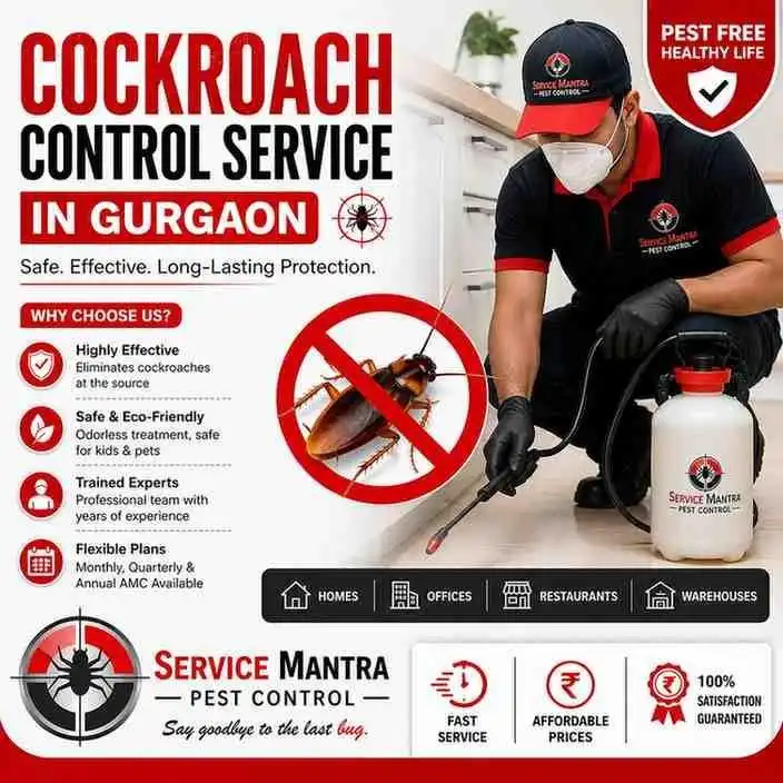 Get Reliable Cockroach Control Service in Gurgaon with Safe & Lasting Results