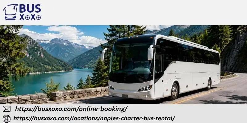  Premium Group Transportation for Every Event in Naples