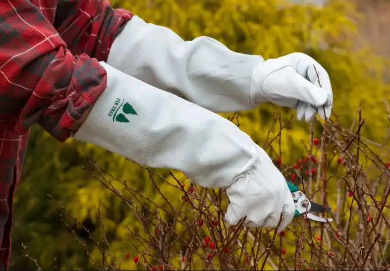 Gloves for Handling Cactus