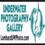 Lombard Professional Underwater Photographer