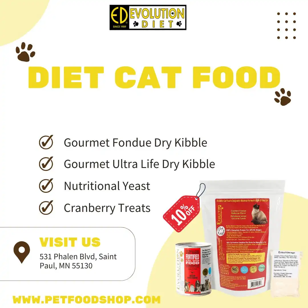Healthy Choices for Your Cat with Premium Diet Options