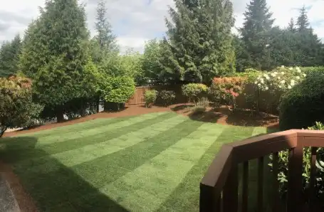 Professional Lawn Care Services