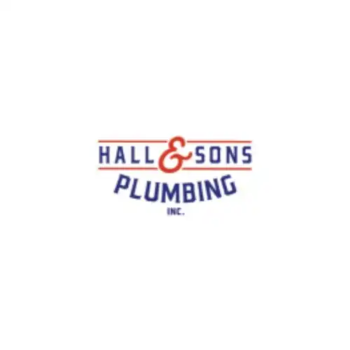 Save Energy with Hall & Sons Plumbing Tankless Water Heater Installation