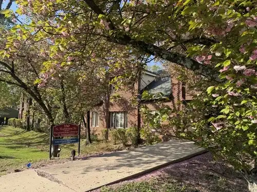 Professional Telehealth Therapy in Princeton Offering Convenient and Confidential Mental Health Support