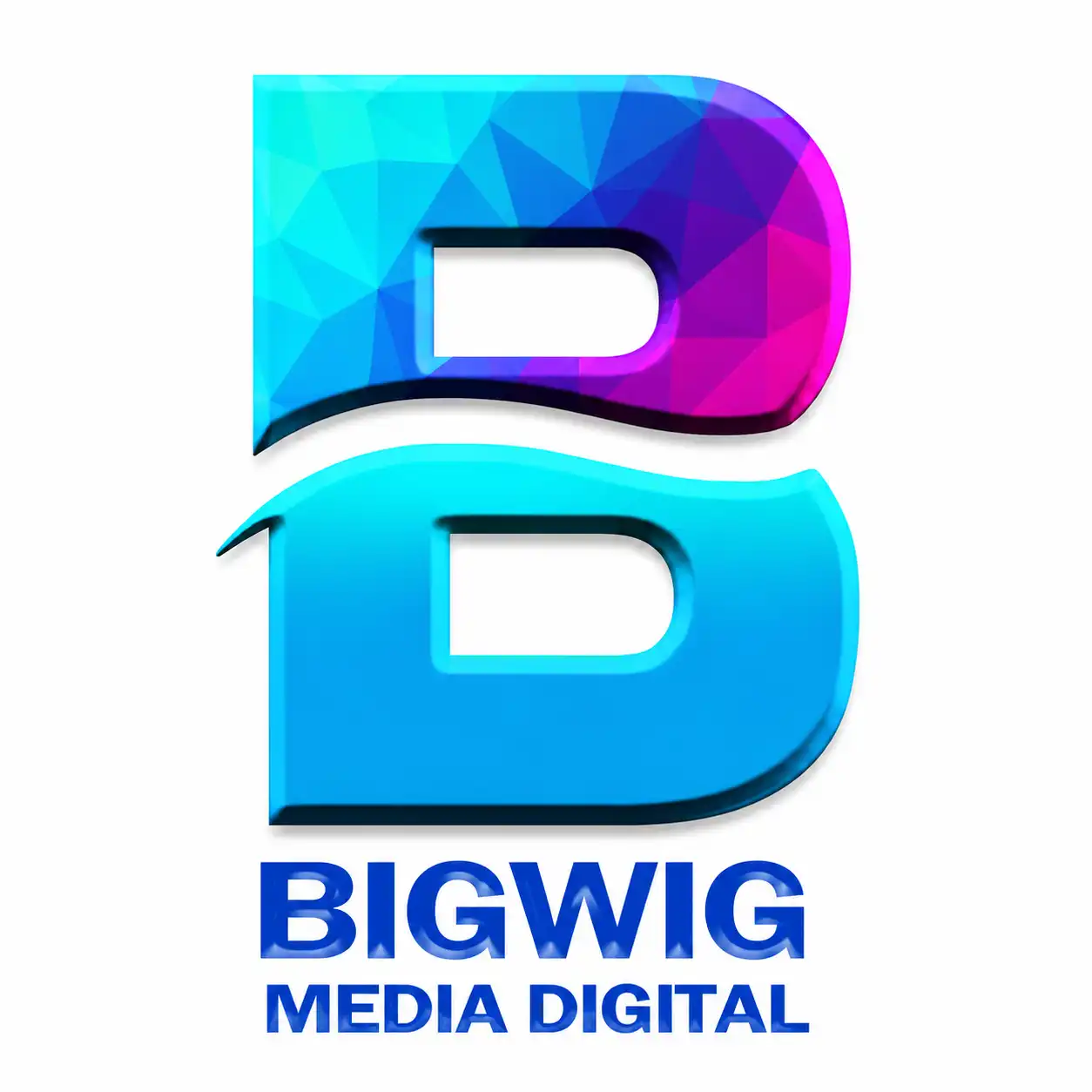 Bigwigmediadigital Best Influencer Marketing Company in Delhi