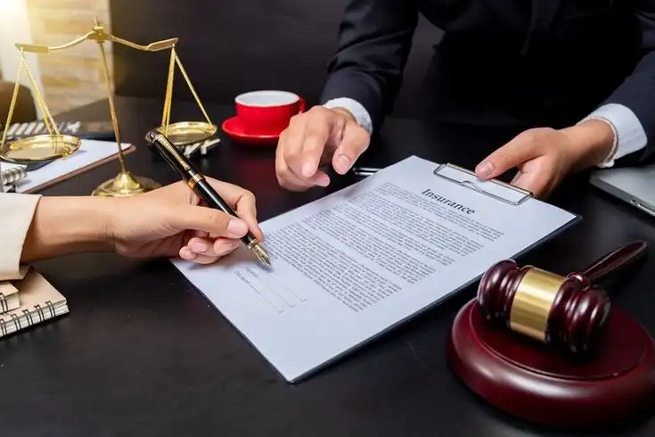 Professional Legal Assistance for Matrimonial & Family Matters 