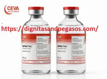 The best place to buy Pentobarbital in Portugal online without prescription