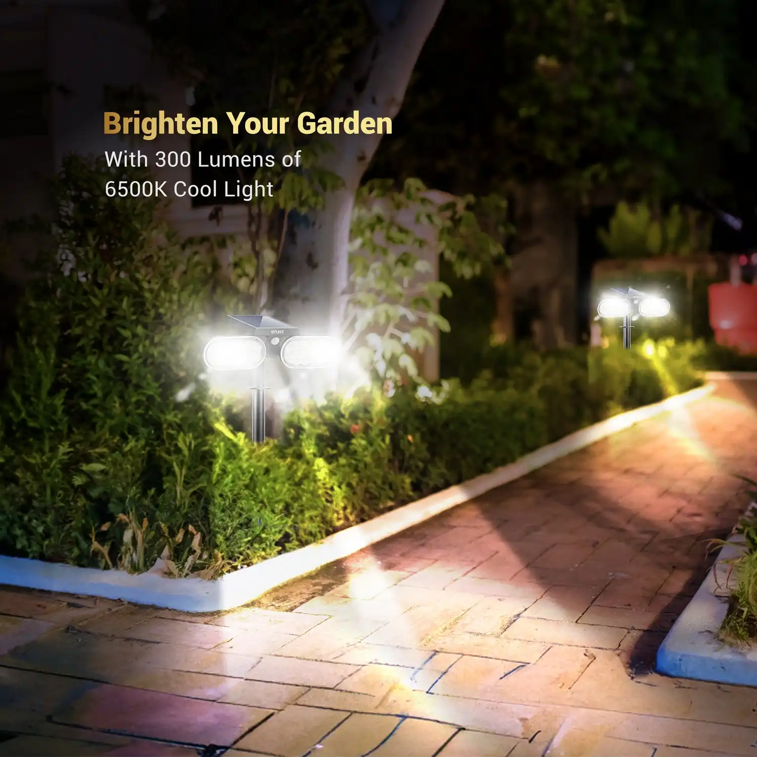Buy Solar Path Lights for Gardens, Walkways and Outdoor Spaces