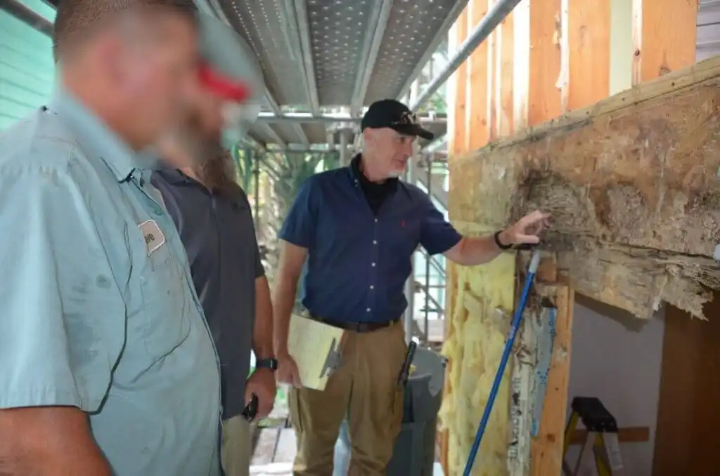 Professional Claim Support For Termite Insurance Claim Lawyer