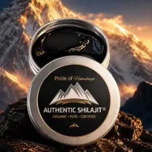 Authentic Shilajit: Himalayan Shilajit for Everyday Wellness Practices 