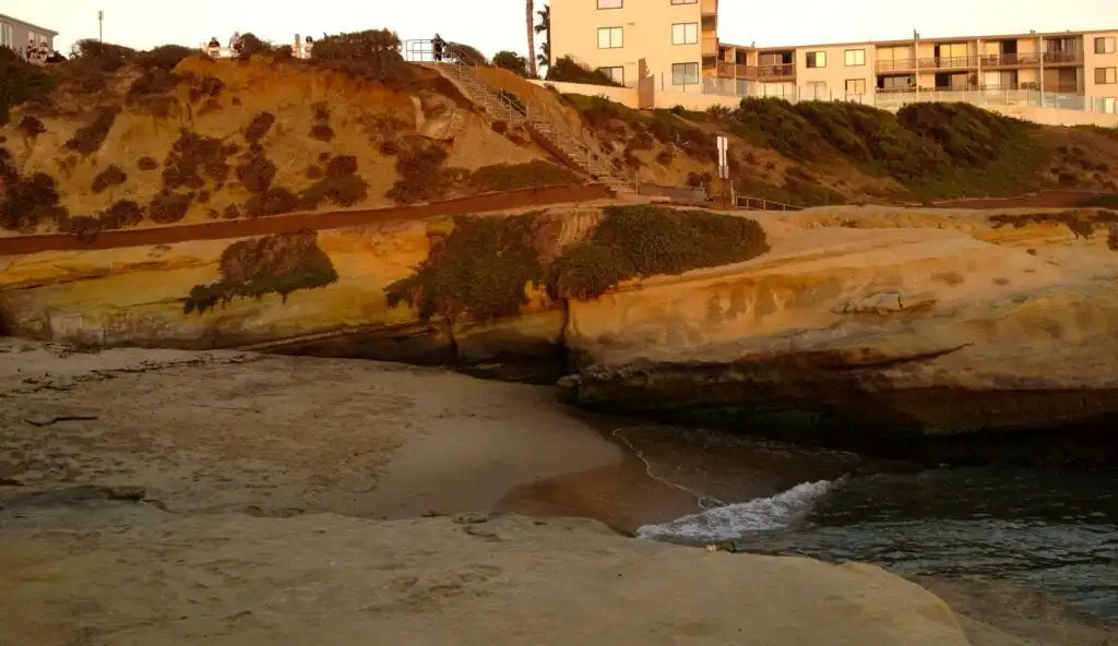Pet-Friendly Rentals in San Diego Near Dog Beach