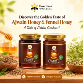 Buy Ajwain Honey Online from Bee Base