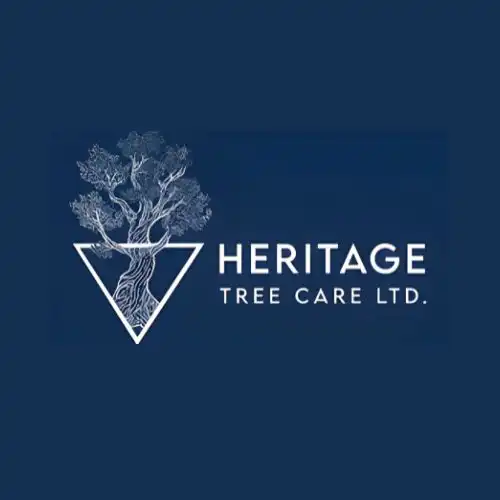 Professional Tree Care & Tree Removal Services across Cork