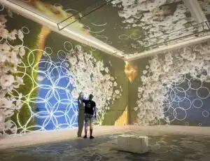 Immersive Digital Art Gallery Master Planning & Interactive Media Experience Design